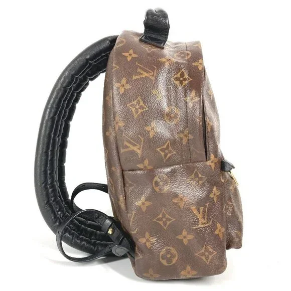 LOUIS VUITTON M41560 Monogram Palm Springs PM Mini Backpack Brown/Black - Picture 6 of 15